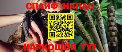 стаф Камышлов
