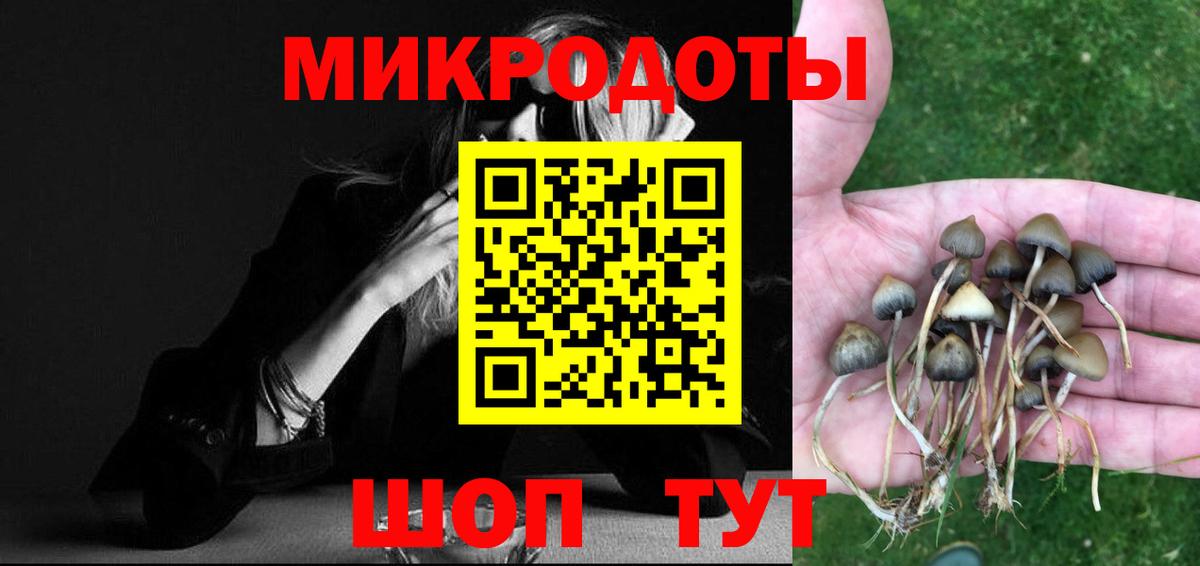 Псилоцибиновые грибы Psilocybine cubensis  Вход с VPN  Кунгур 